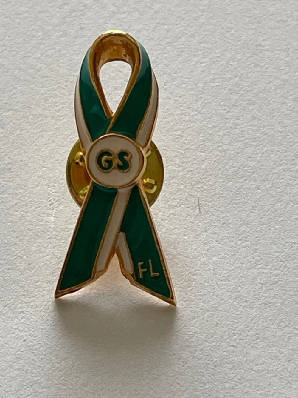 Girl Scouts very nice