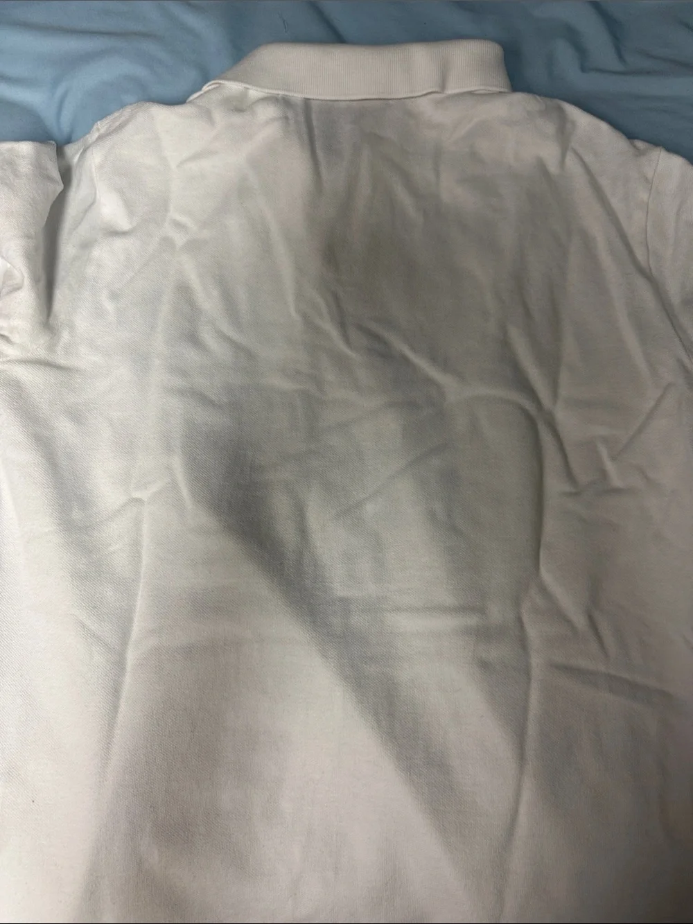 Polo Ralph Lauren men polo