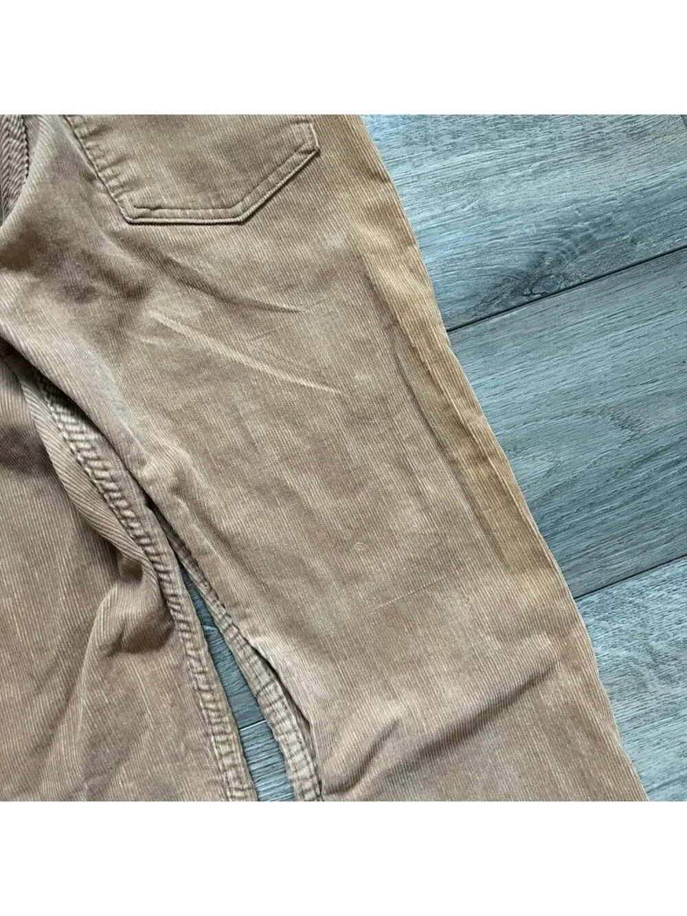 Levis levi 519