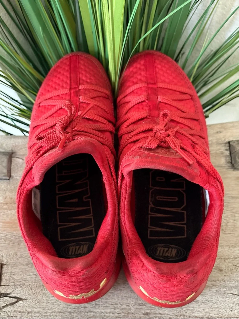 Nike titan lebron
