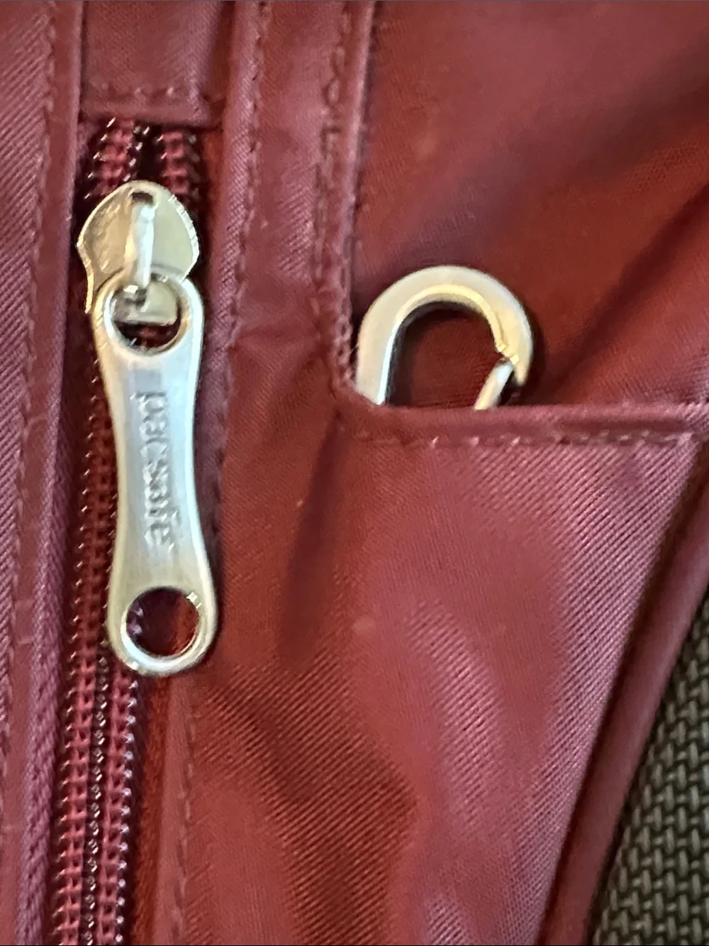 Pacsafe sleek two