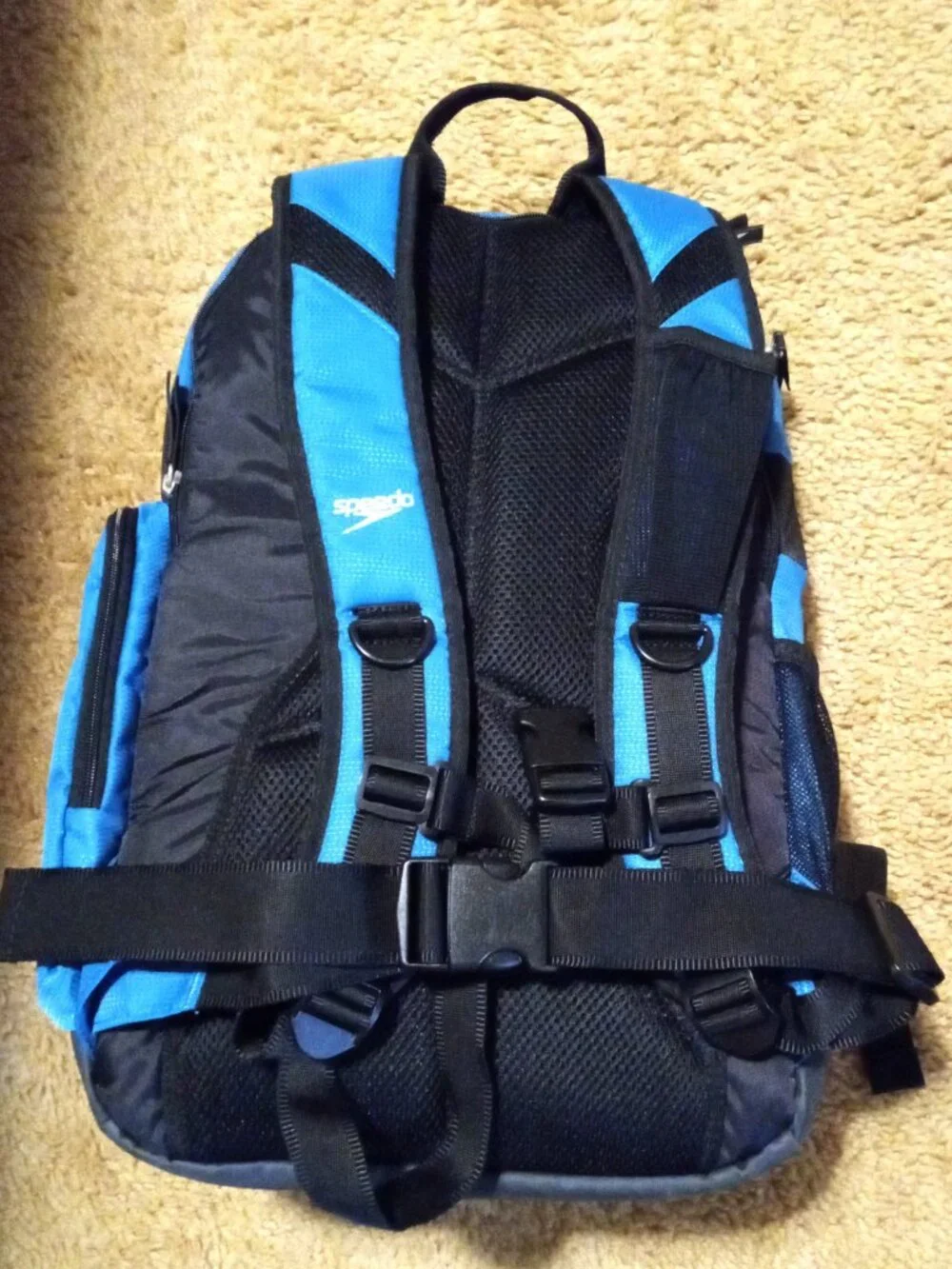 Speedo Teamster Large Swim Backpack with Dirt Wet Compartment - Blue