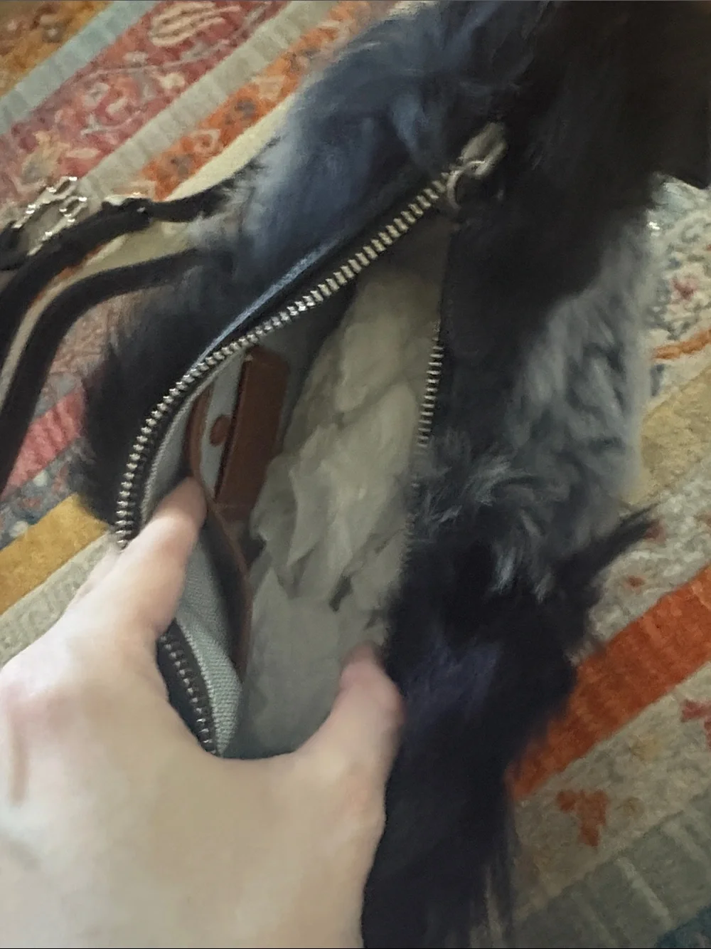 Coach black grey