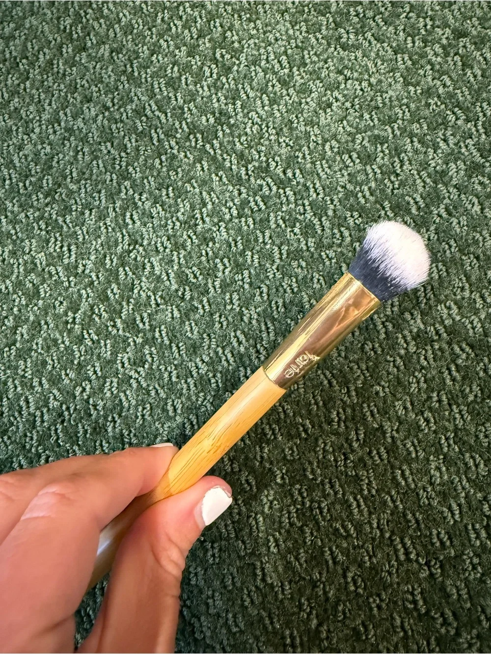 tarte concealer paw
