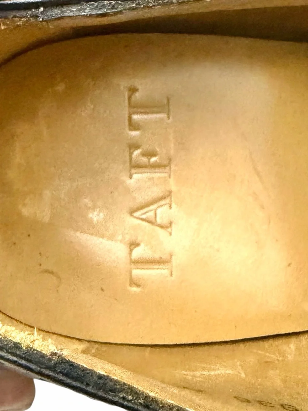 Taft elevate your