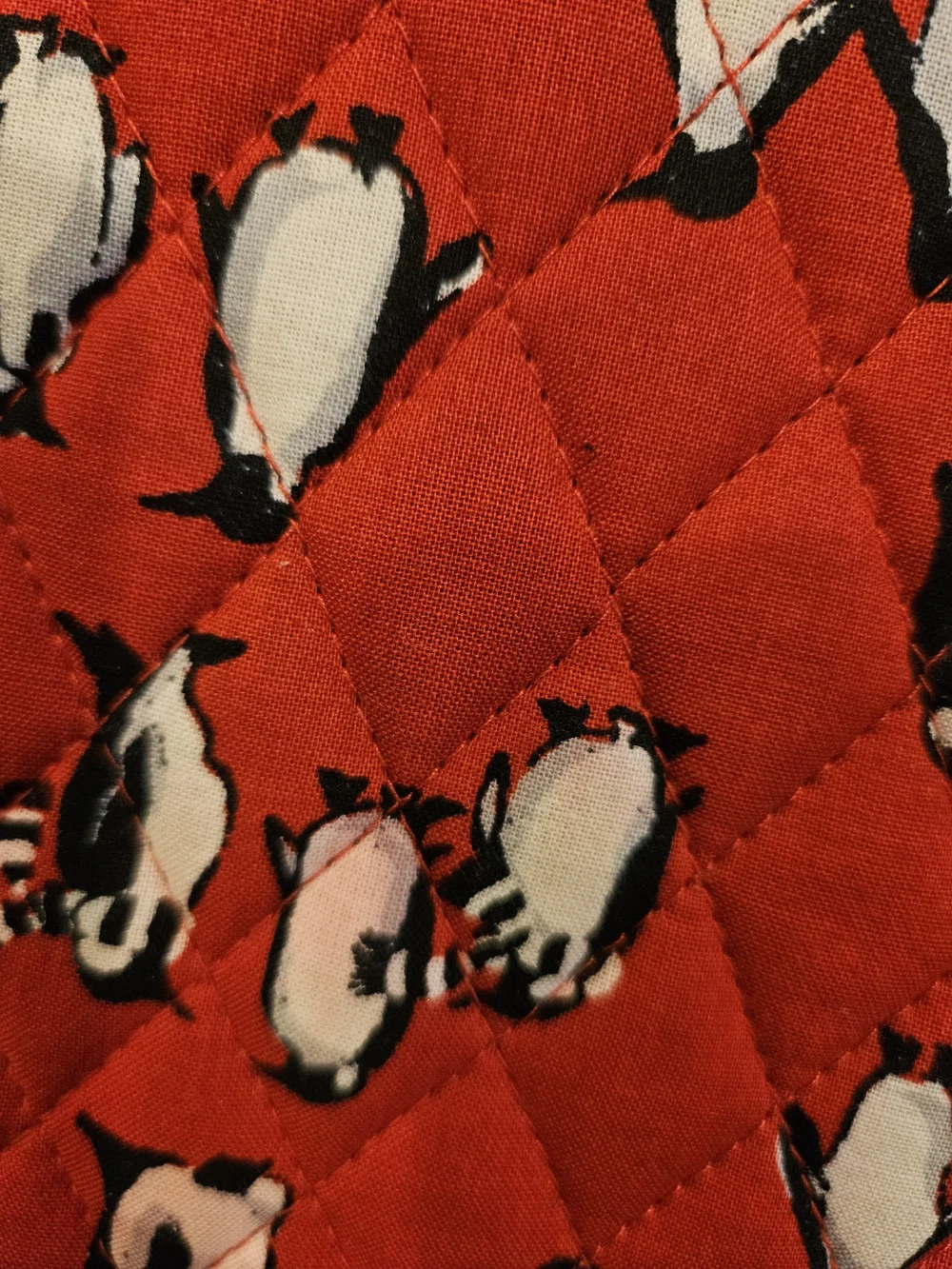 Vera Bradley stylish red