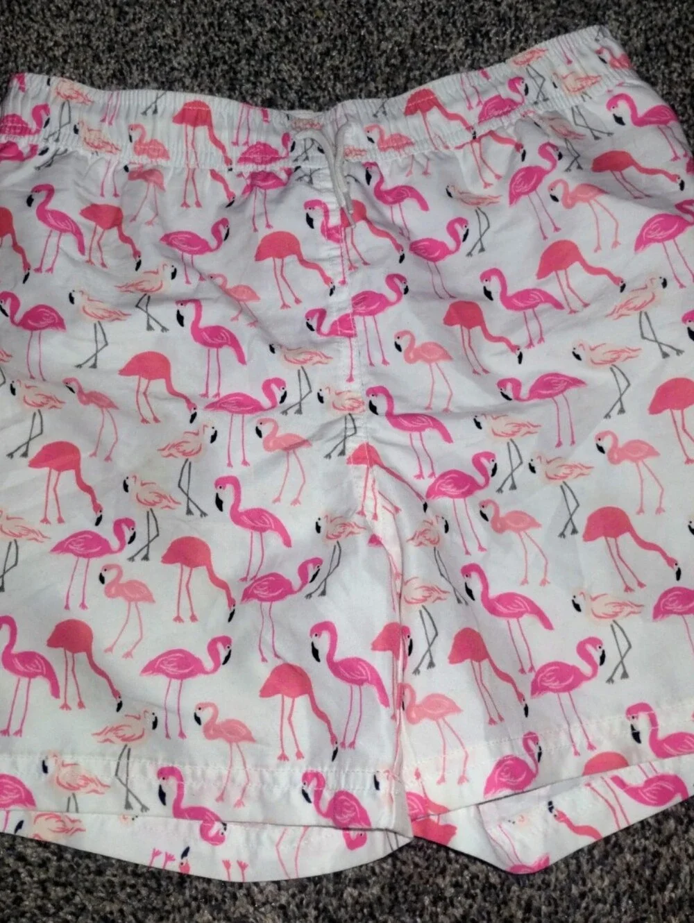 Janie & Jack Flamingo Swim Trunks & Hanna Andersson Rashgard Size 10