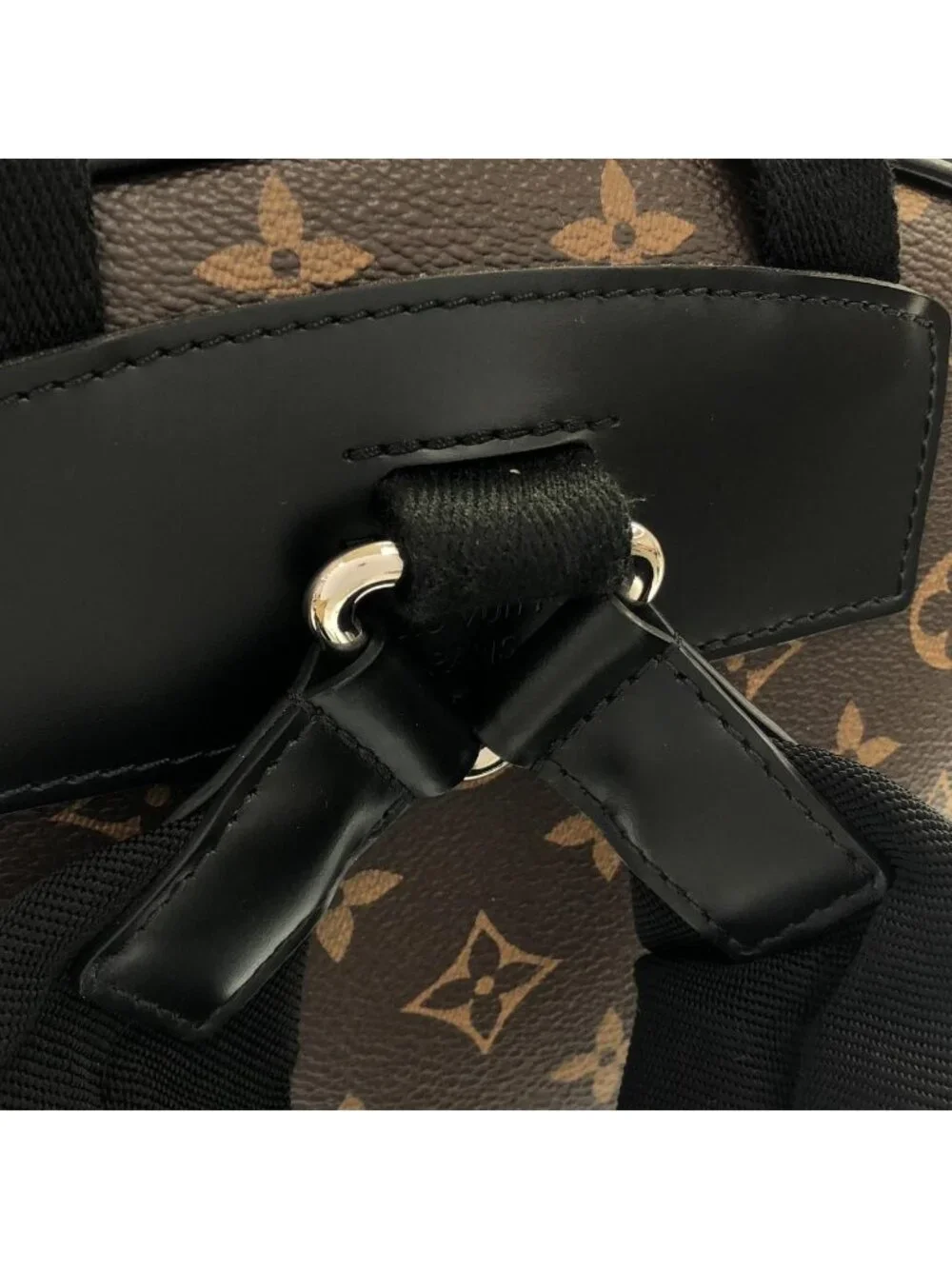 Louis Vuitton Monogram Macassar Josh Backpack