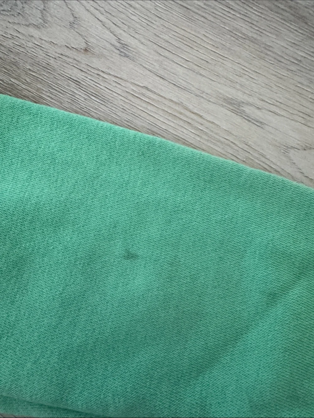 GAP Kids Mint Green Hooded Sweatshirt