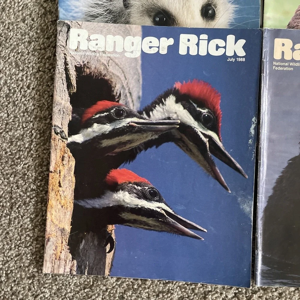 Ranger Rick's Nature Magazine 1988 National Wildlife Kids Vtg Lot Of 12 Complete