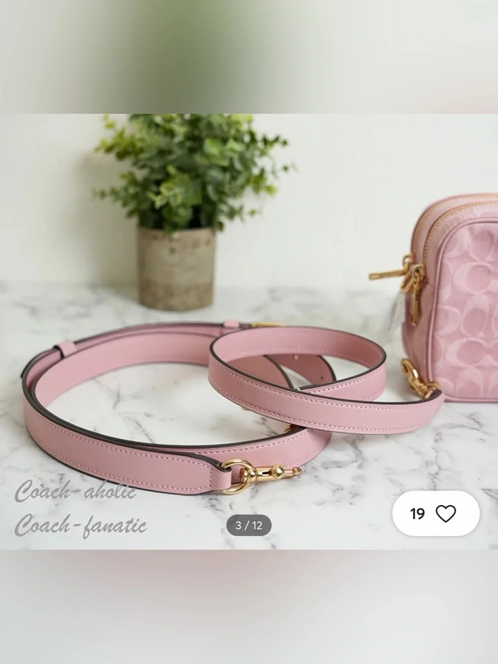 Coach pink signature