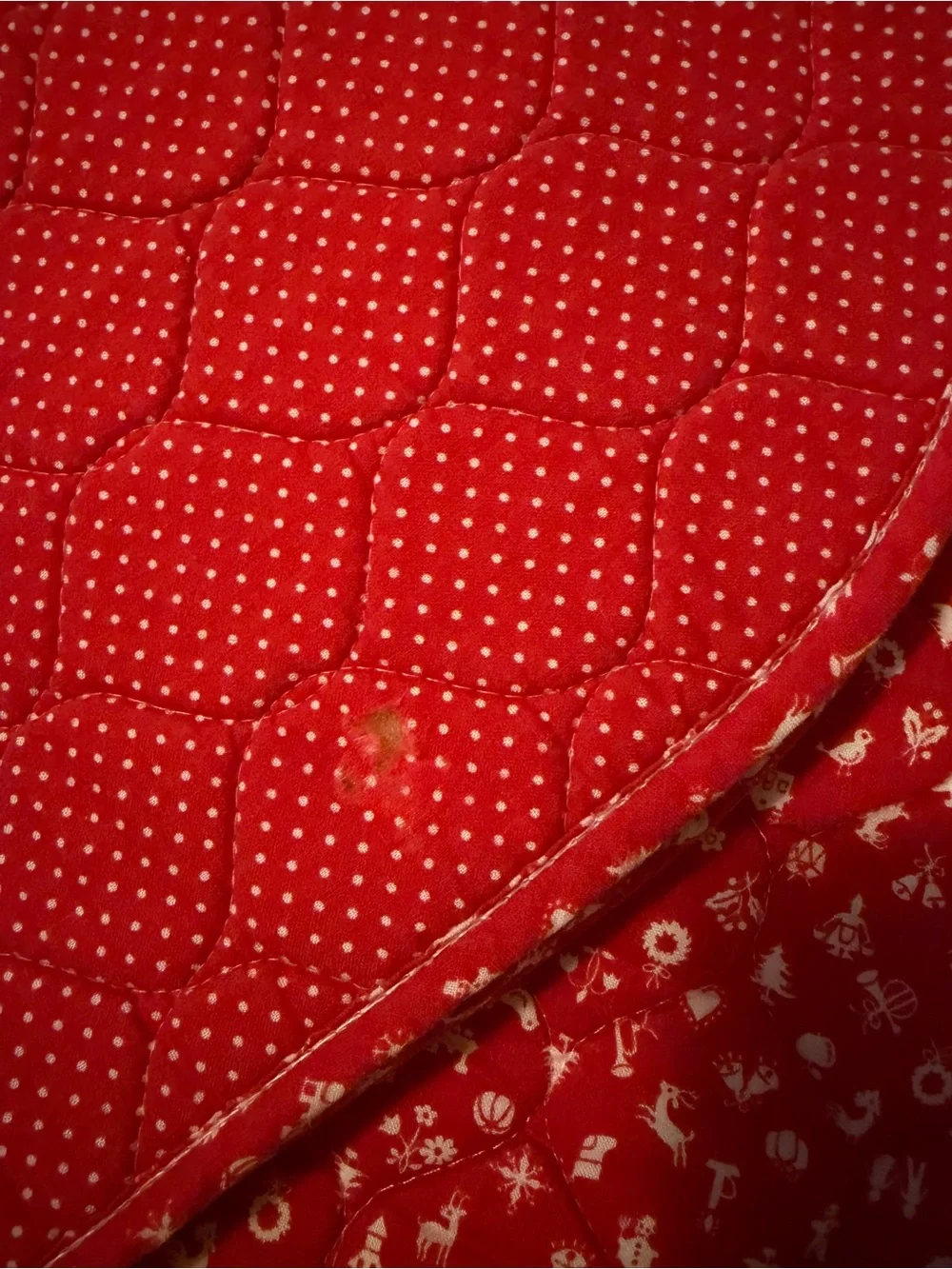 Red Patterned Table Linens Set