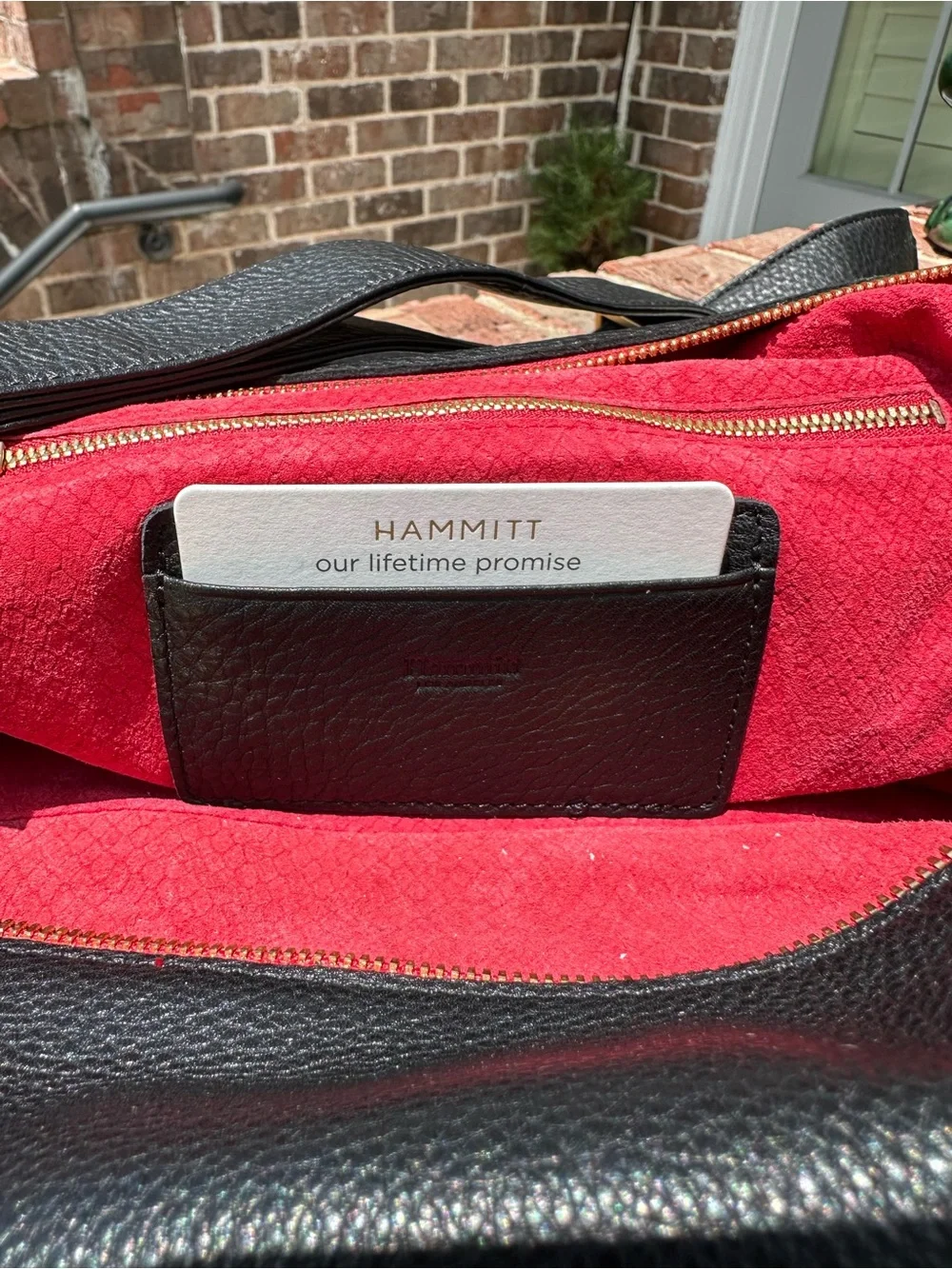 Hammitt large daniel