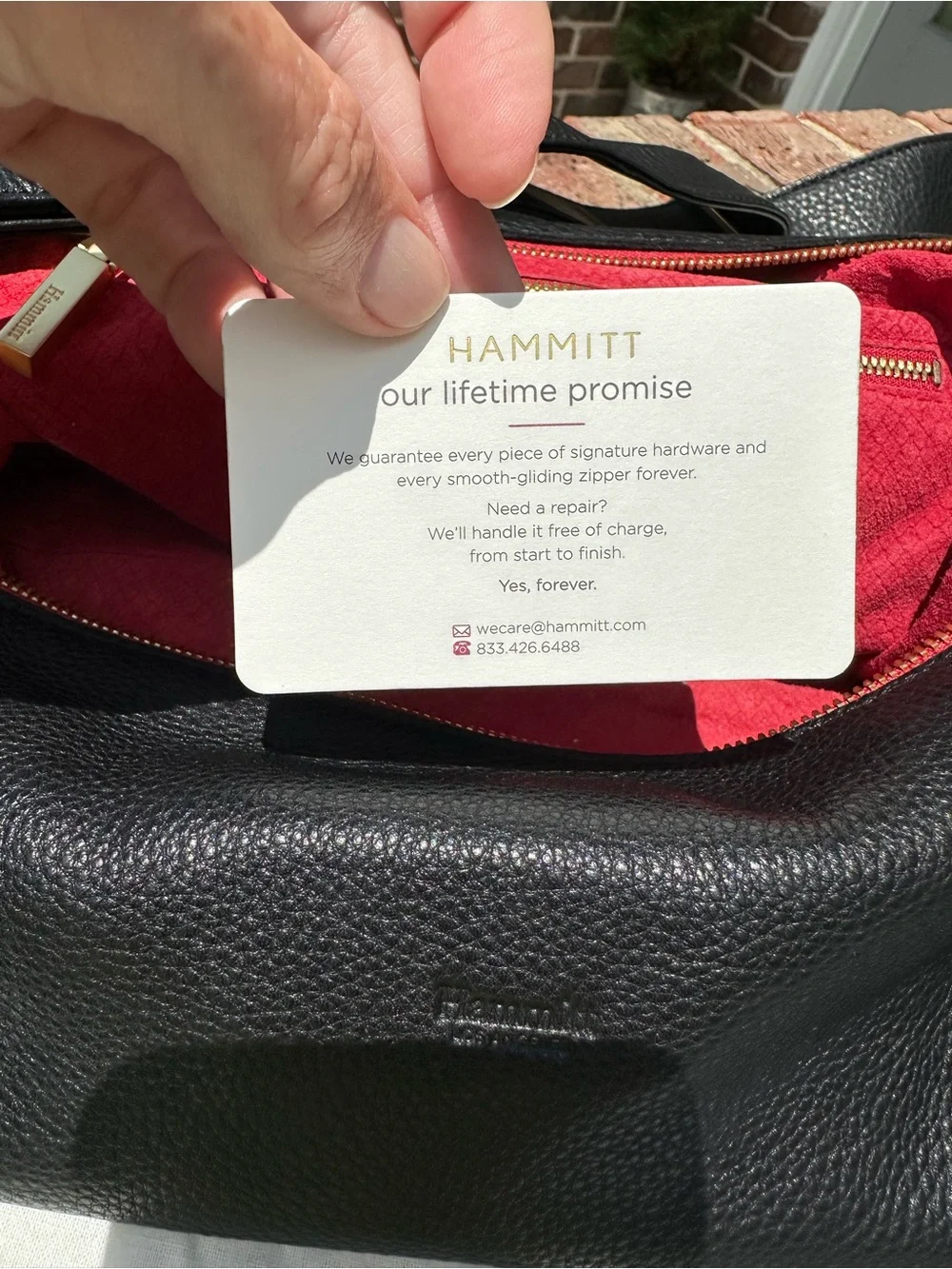 Hammitt large daniel