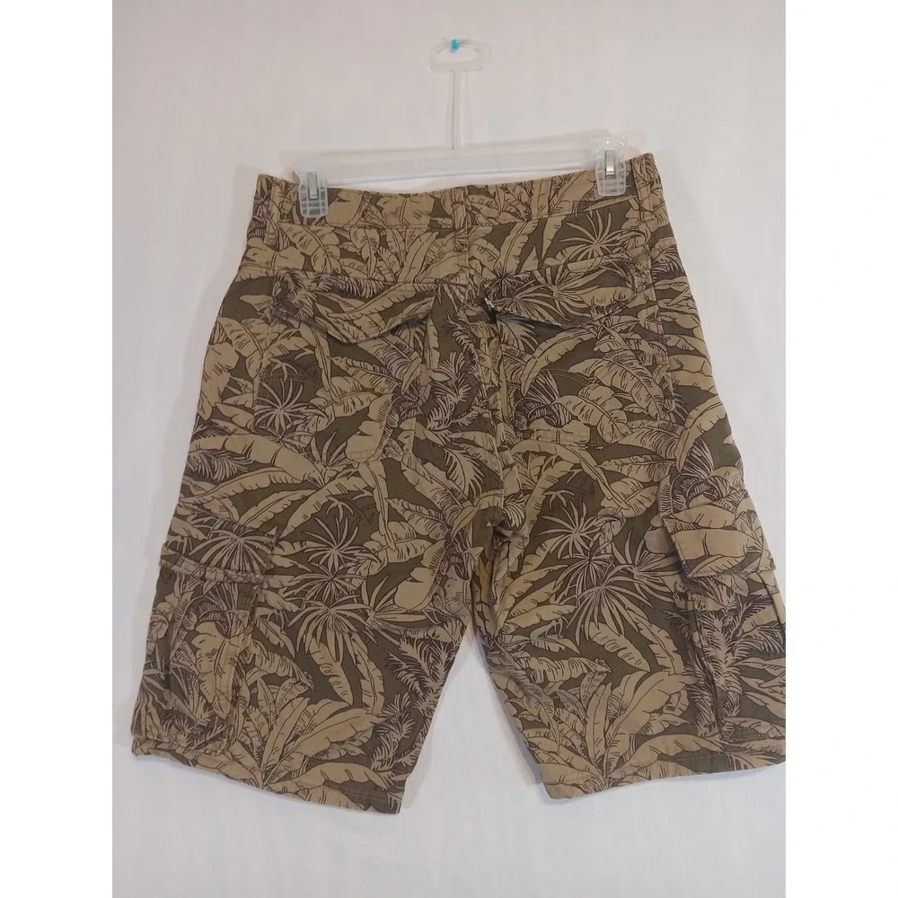 Levis levi tropical