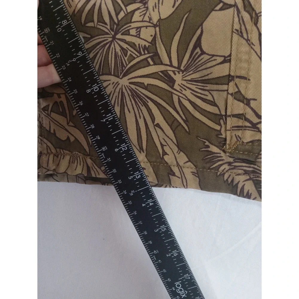 Levis levi tropical