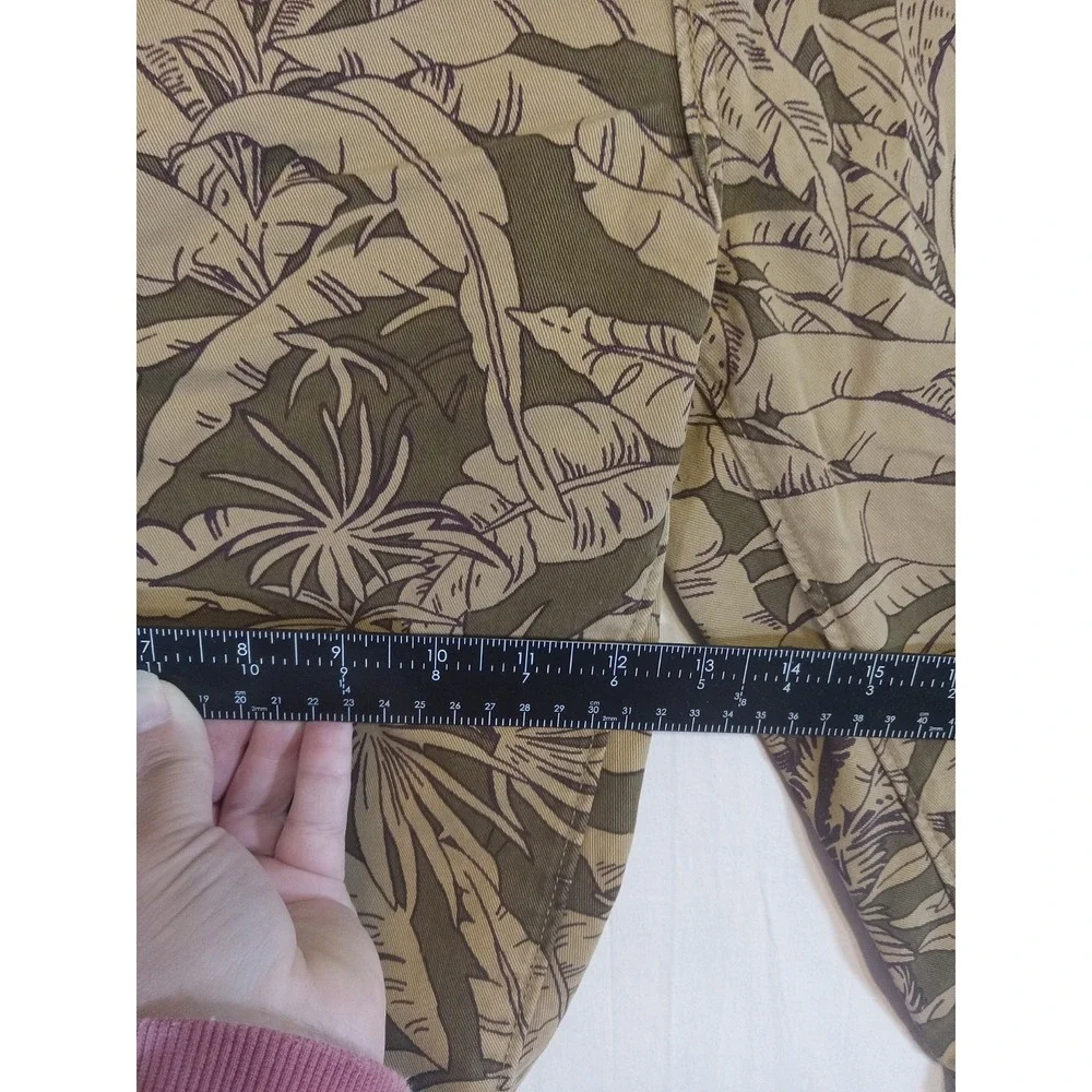 Levis levi tropical