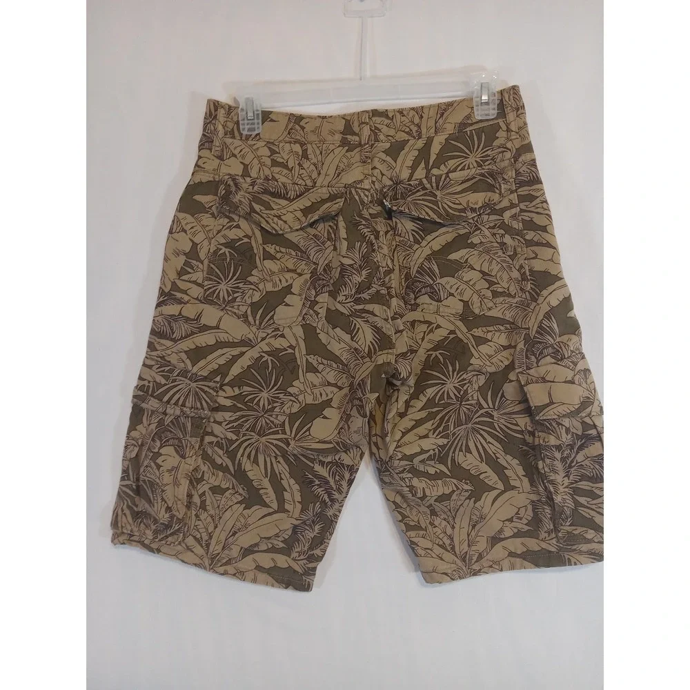 Levis levi tropical
