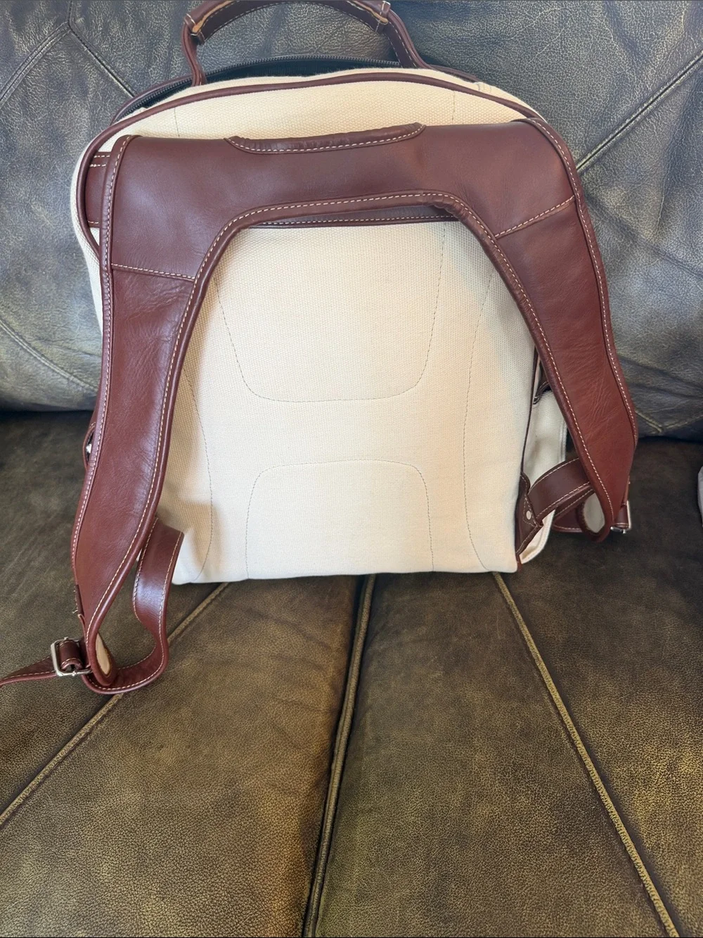 TICA stylish cream
