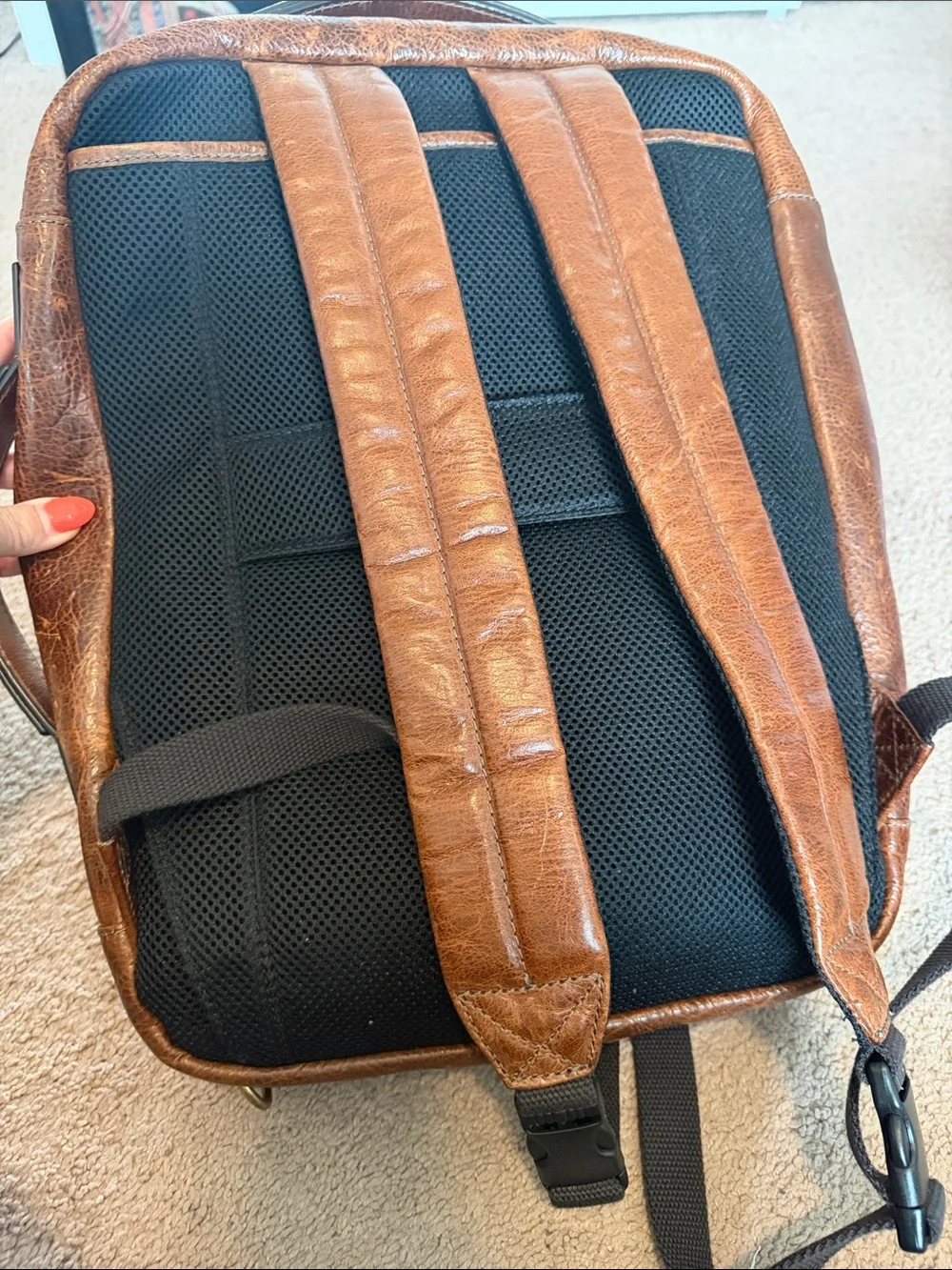 Fossil buckner convertible