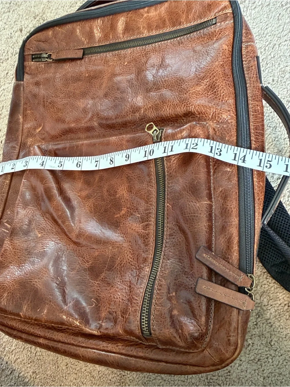 Fossil buckner convertible
