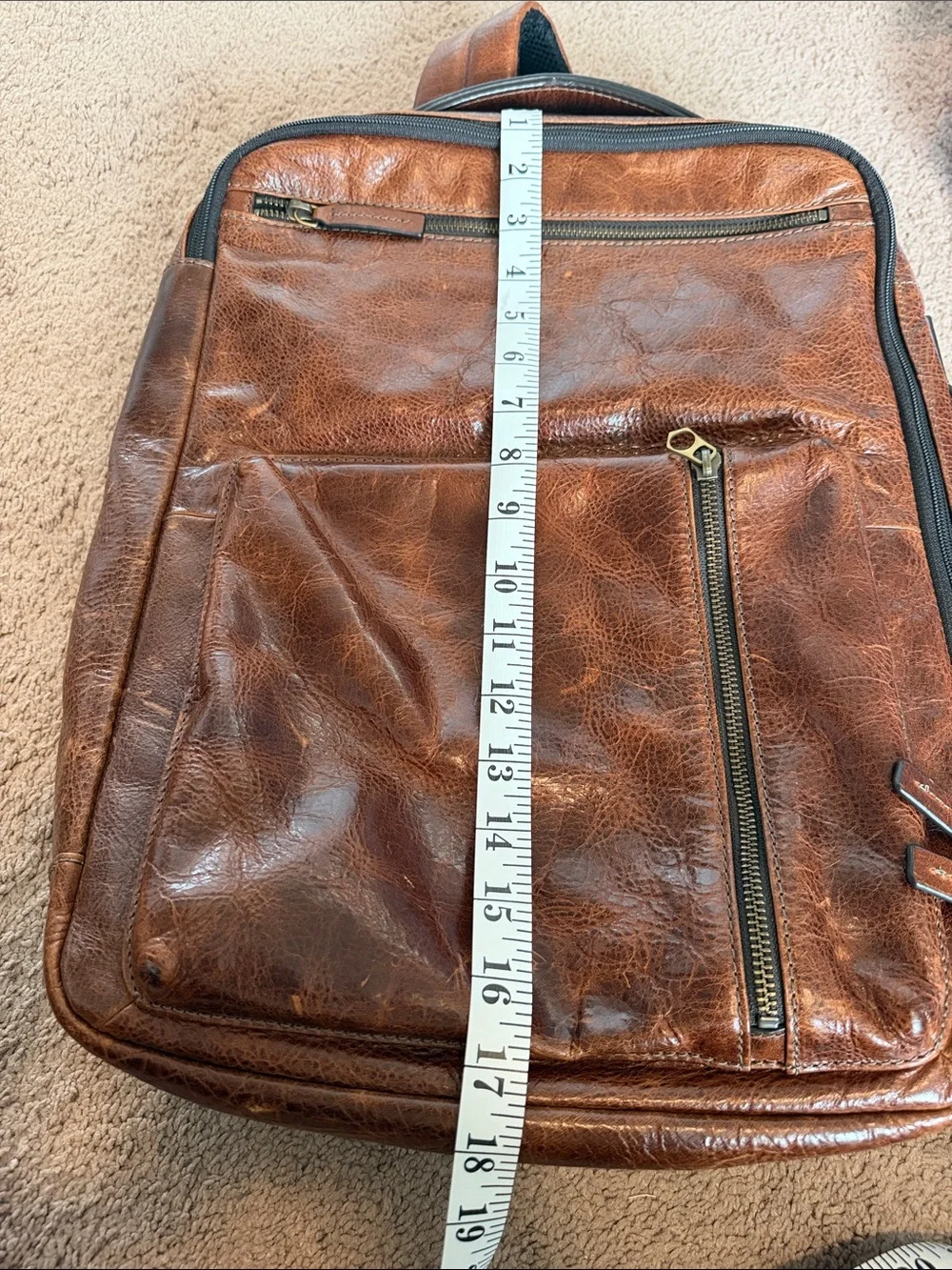 Fossil buckner convertible
