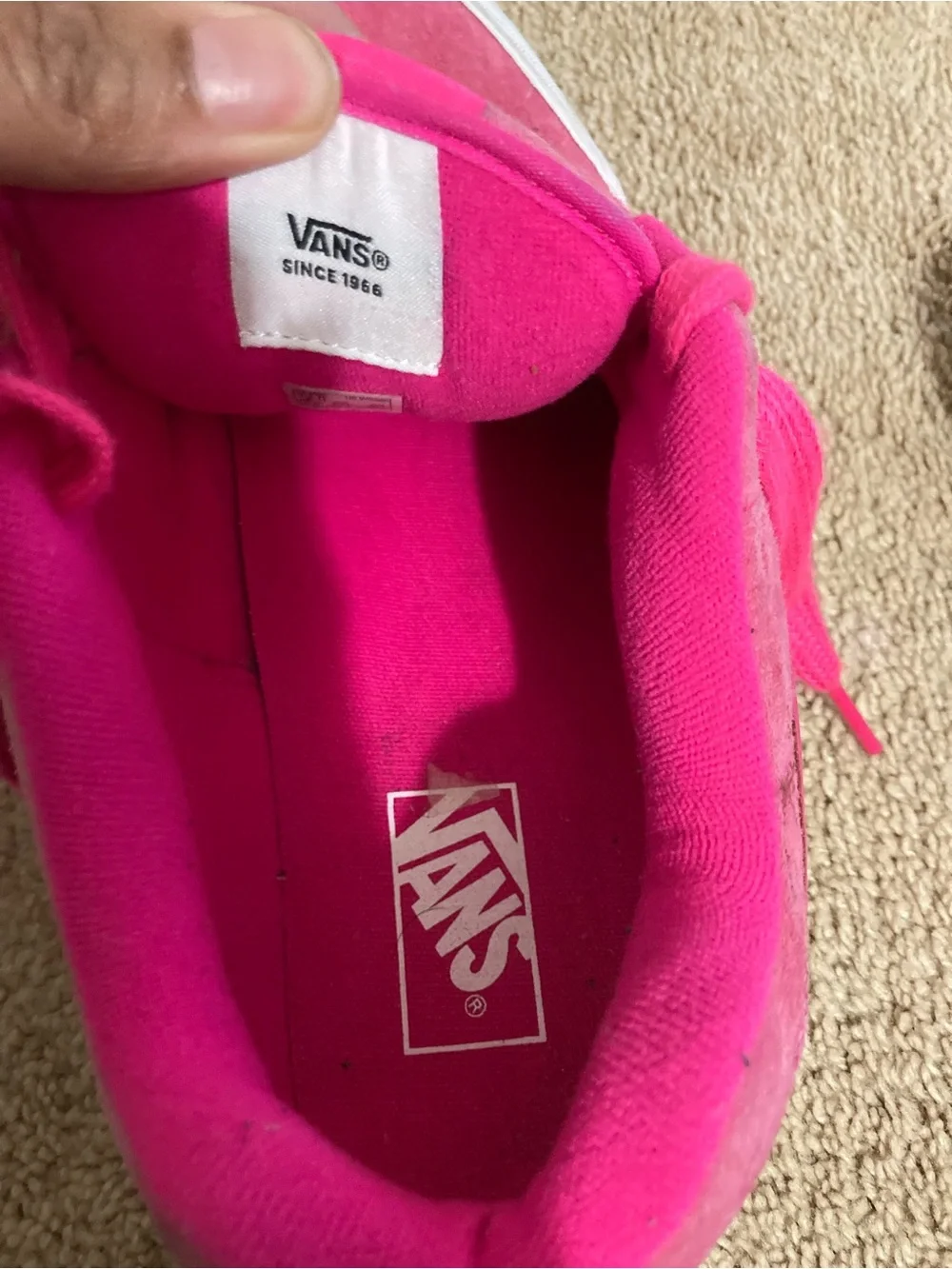 Vans low top