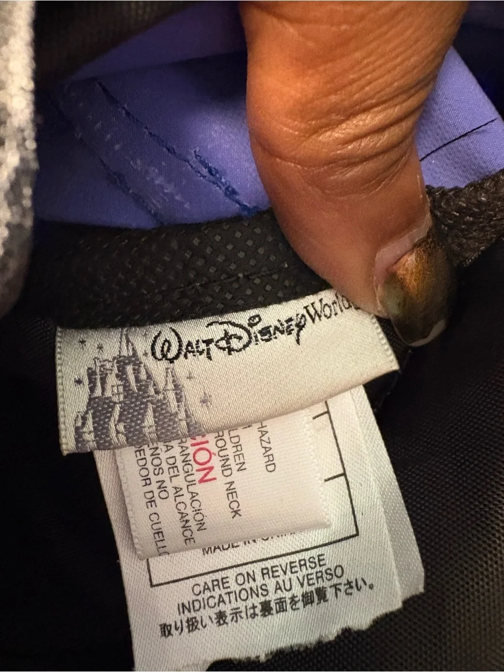 Disney blue world