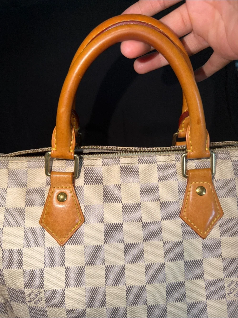 Louis Vuitton iconic louis