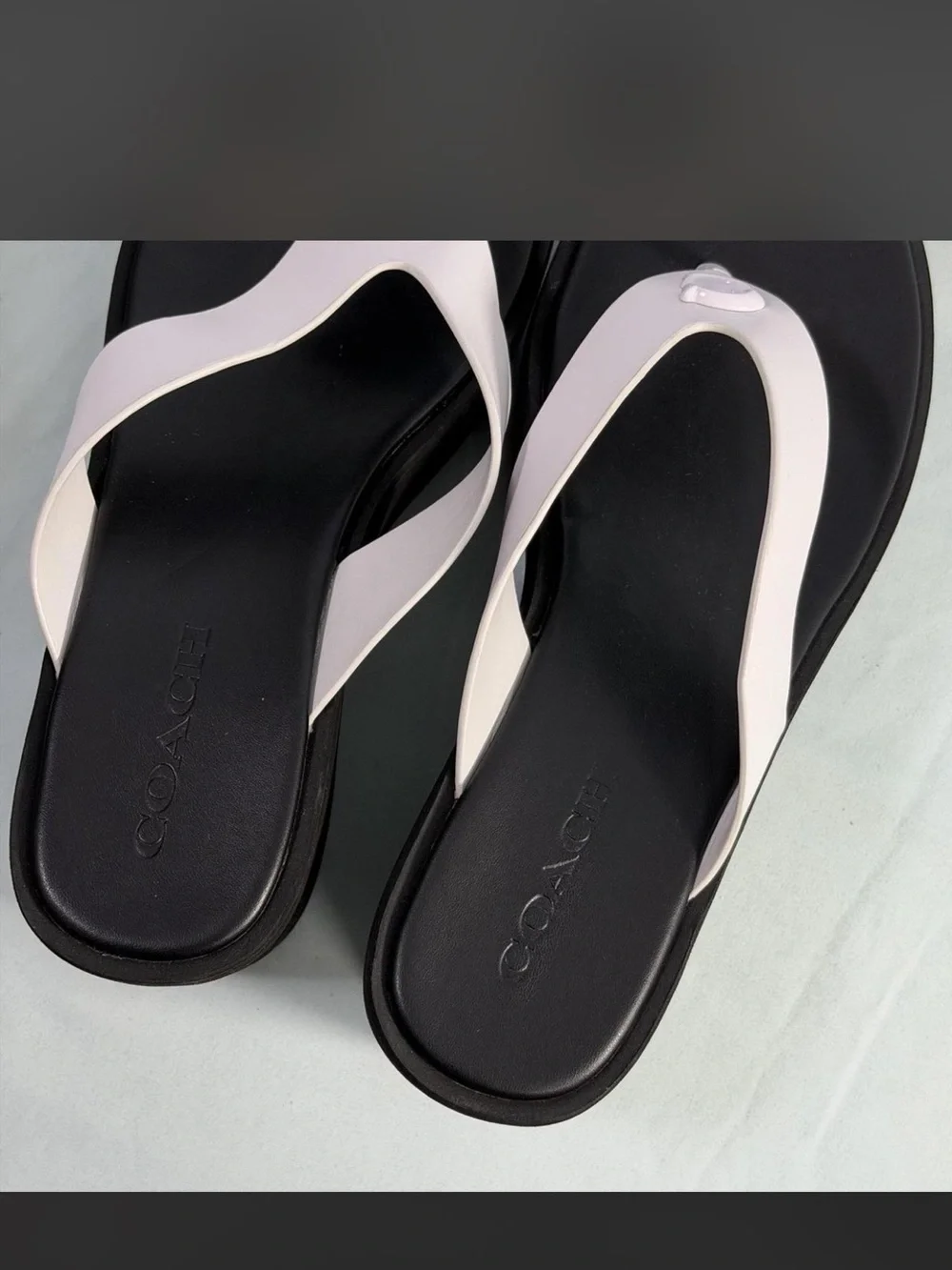 Coach designer platform