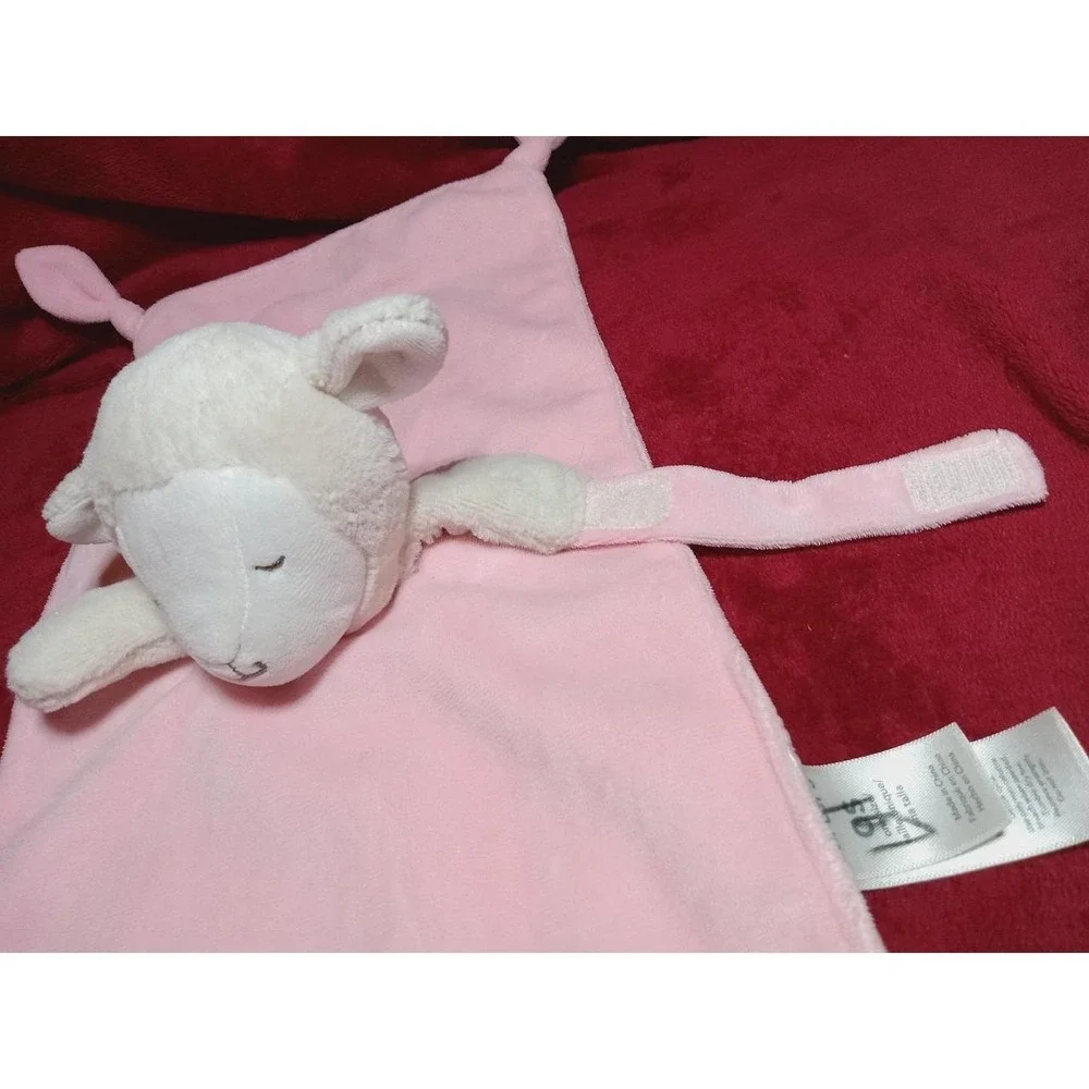 Carters carter bunny