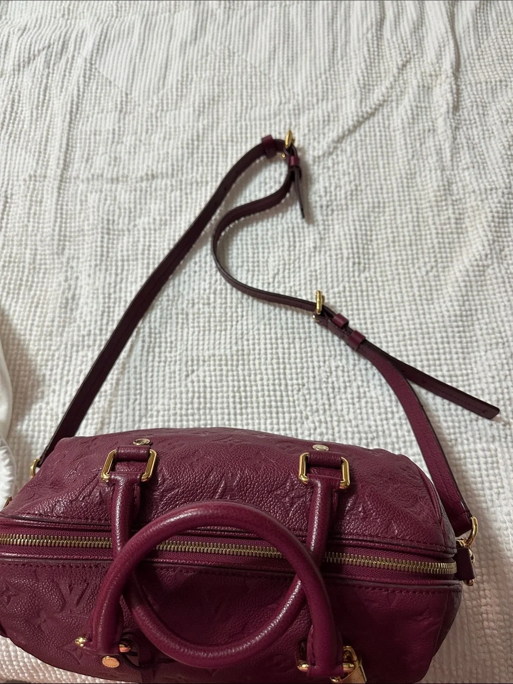 Louis Vuitton structured louis