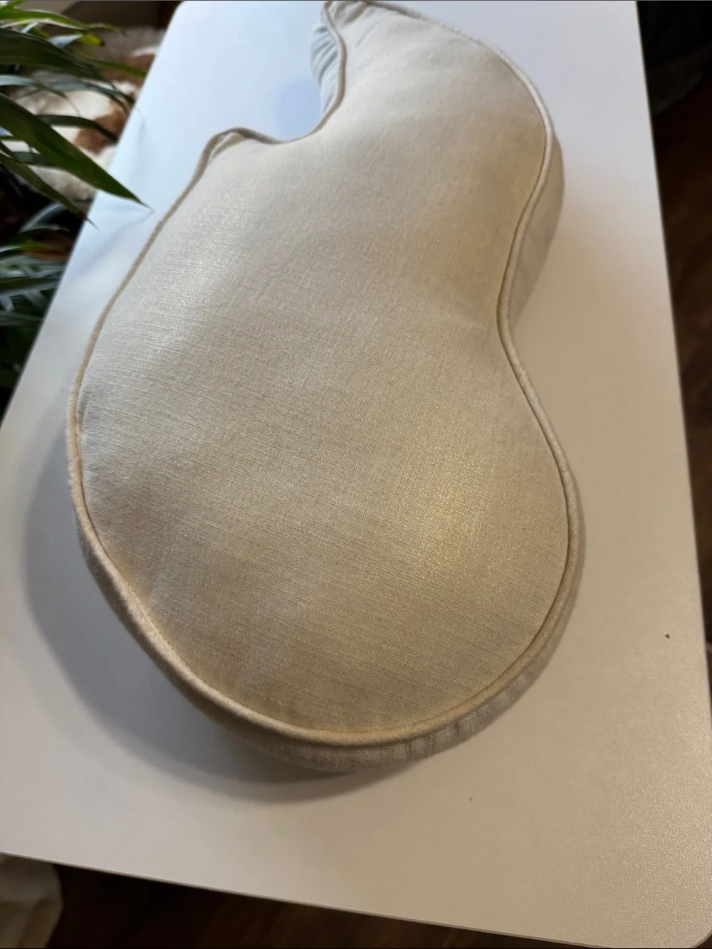 Pottery Barn Kids cream wing