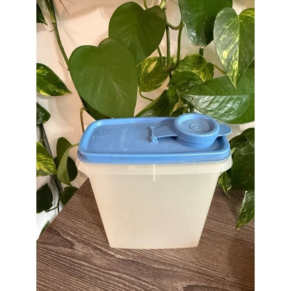 Vintage Tupperware blue lid