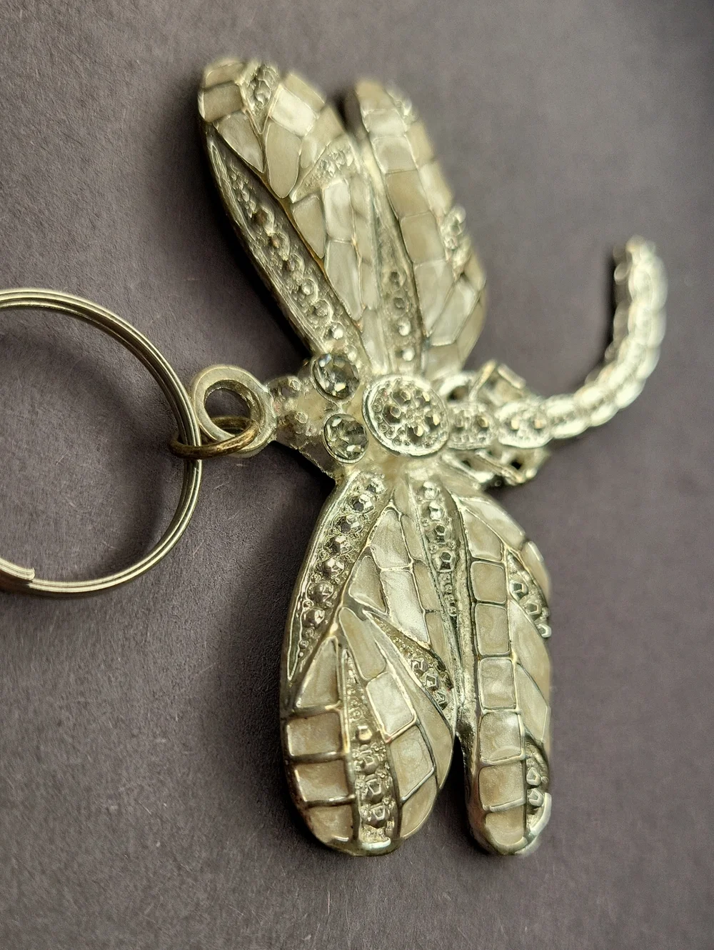 N/A ornate dragonfly