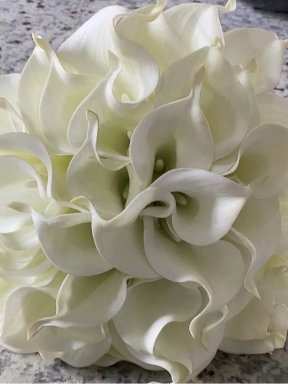 N/A elegant white