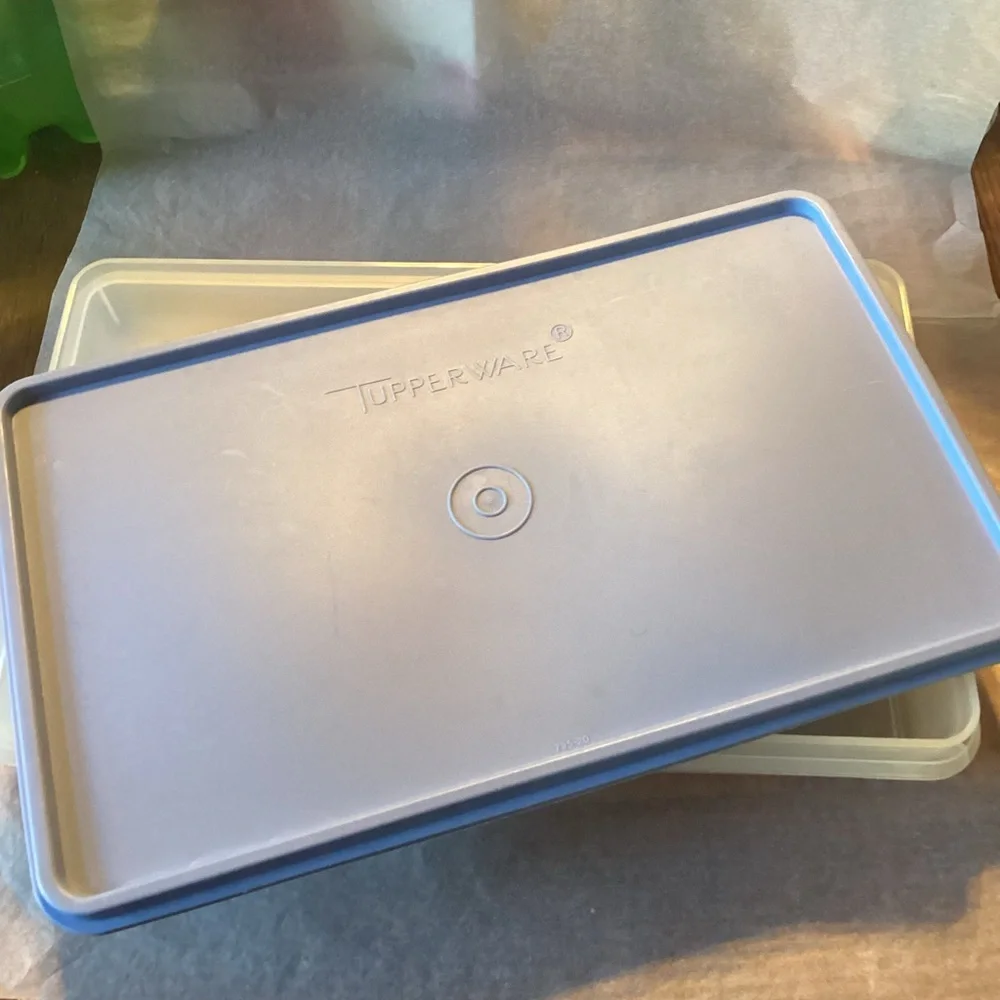 Tupperware Snack-Stor Rectangular Large - light blue seal