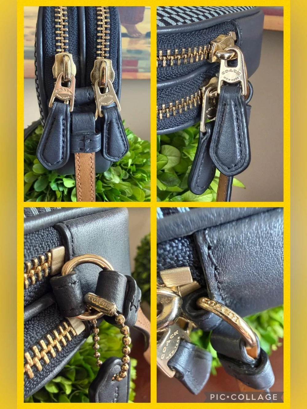 Coach msrp $165