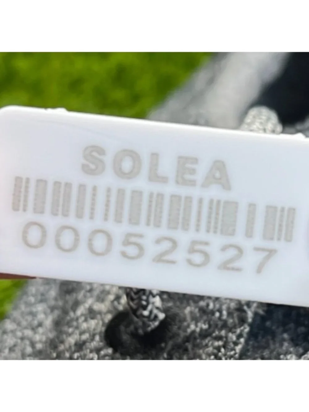 allbirds please review
