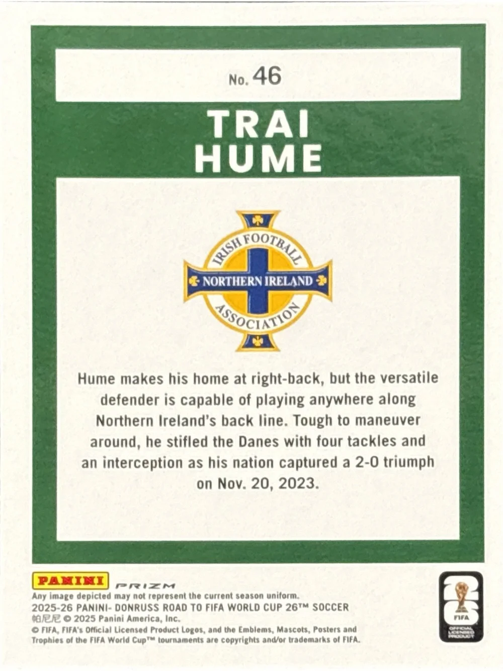 Panini official soccer