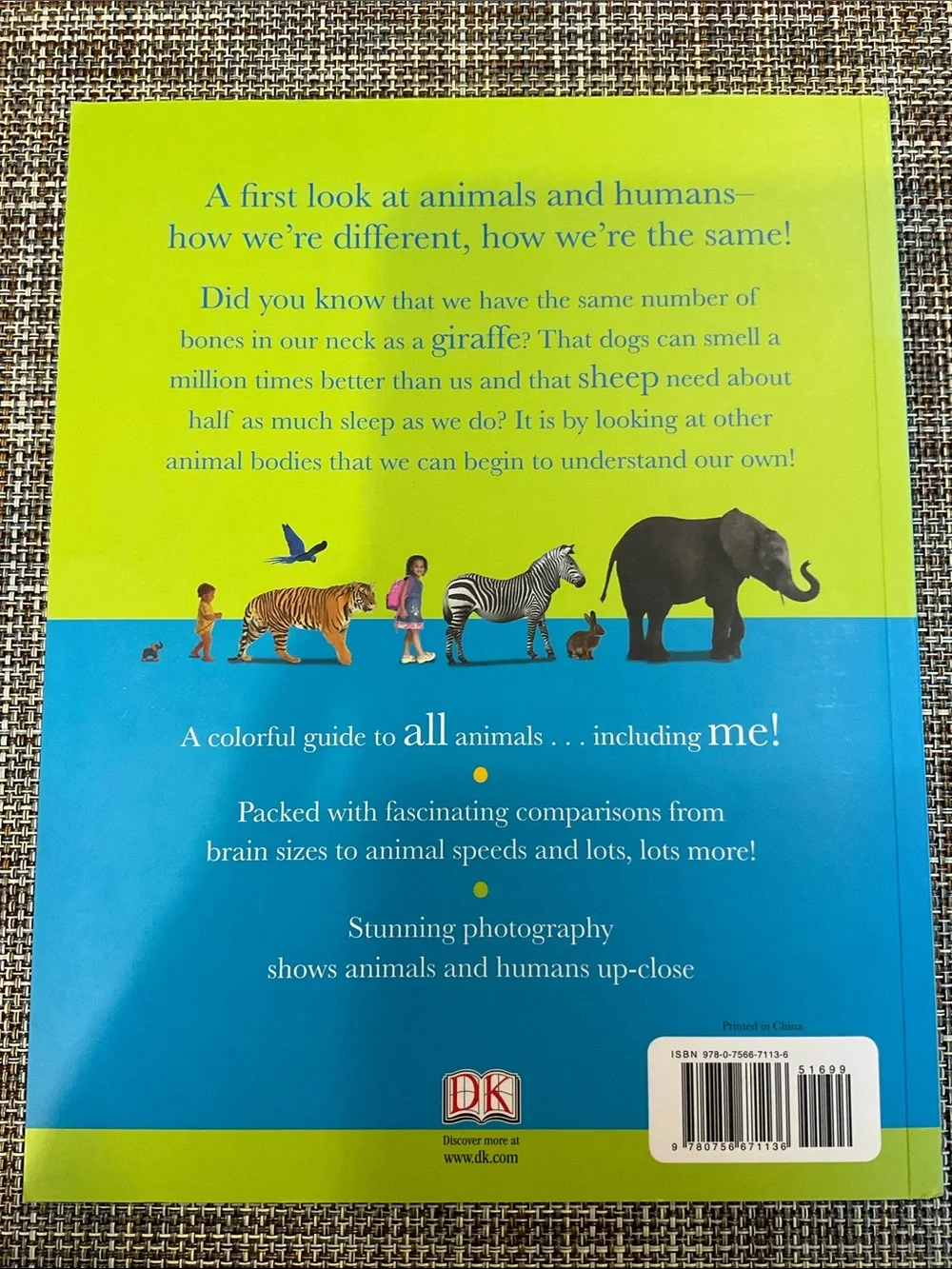 N/A dk animals