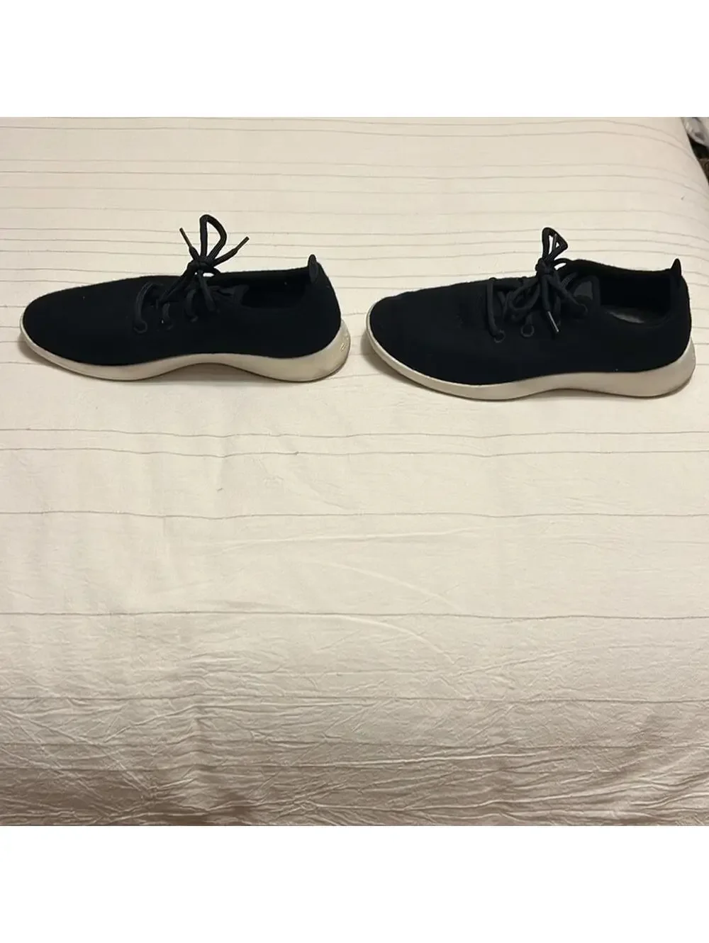 allbirds wool runner