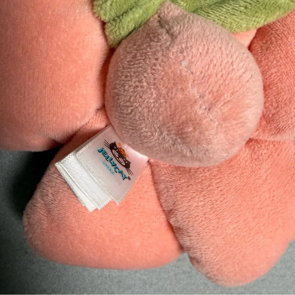 Jellycat reposhing this