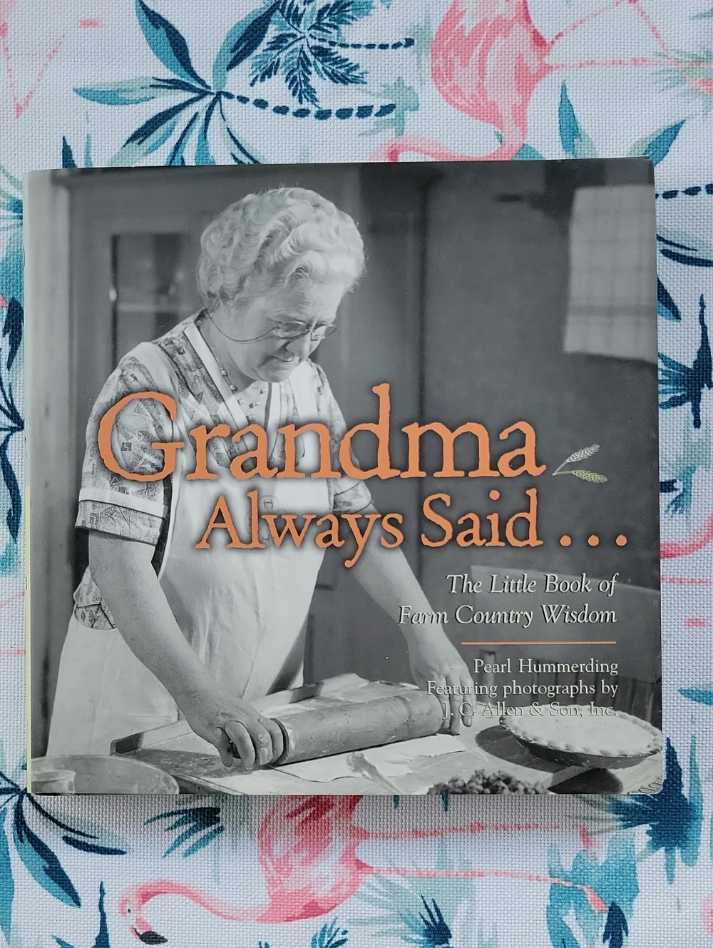 Grandma Always Said... The Little Book Of Country Wisdom By Pearl Hummerding