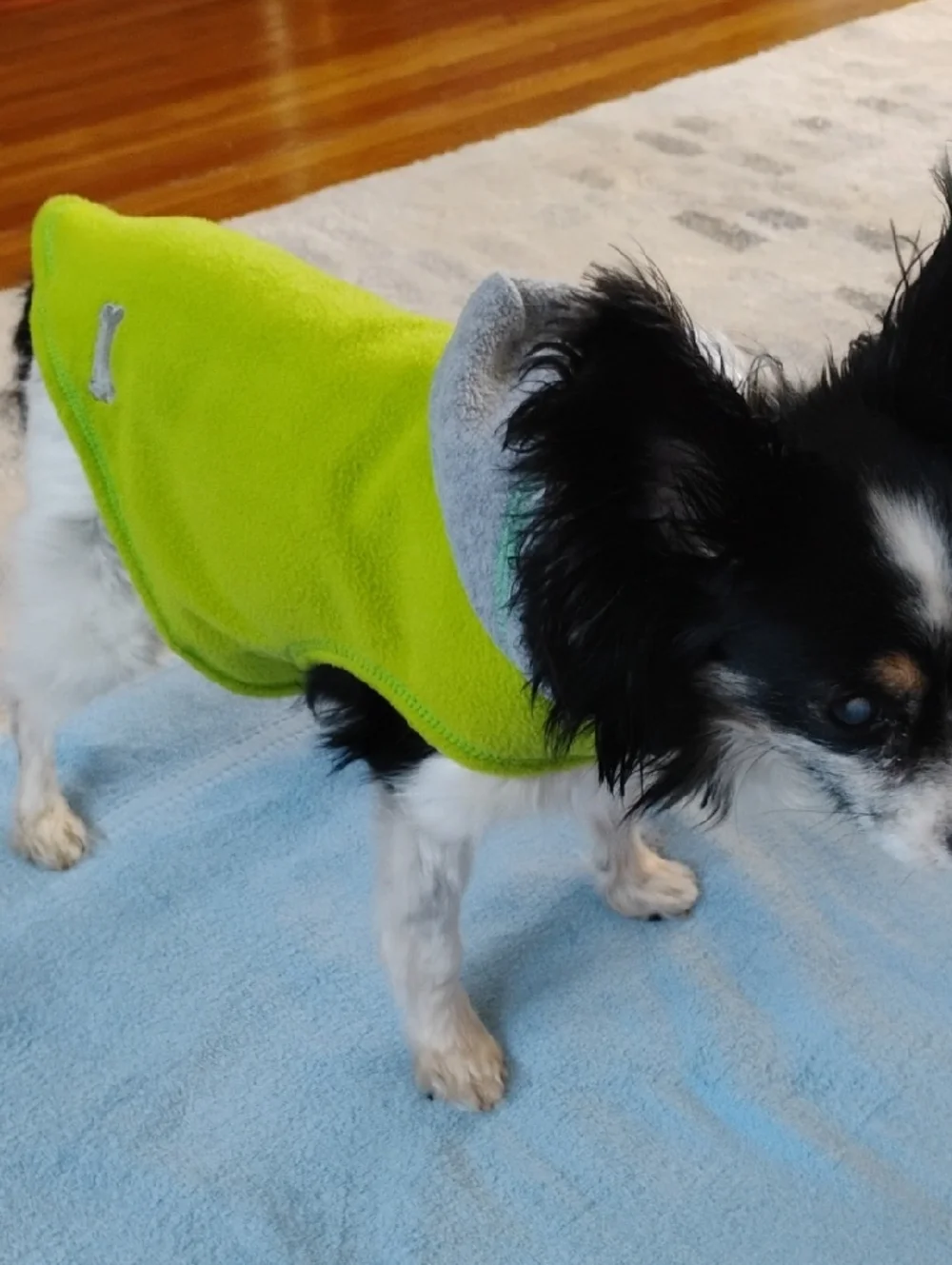Choice two fleece