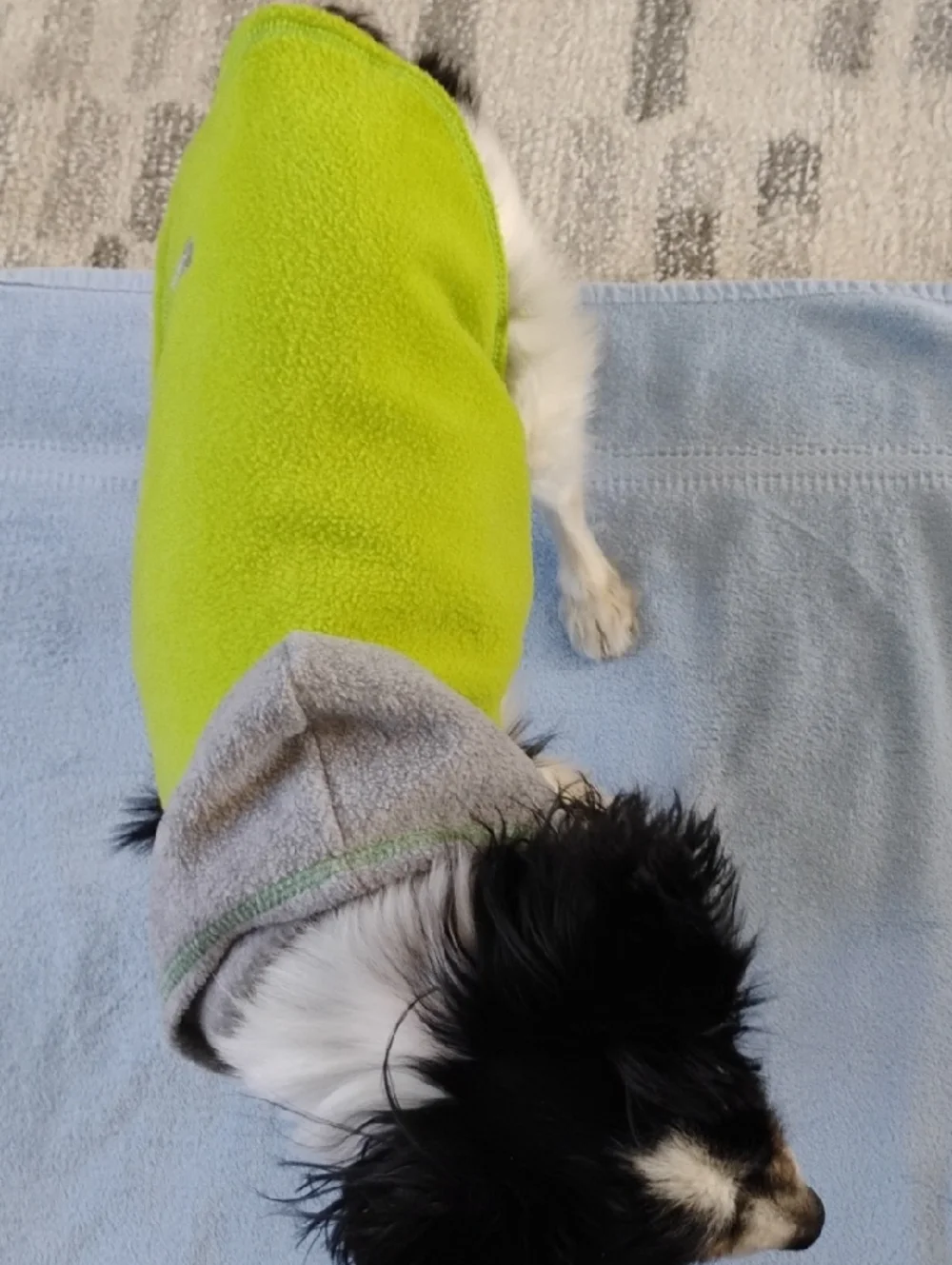Choice two fleece