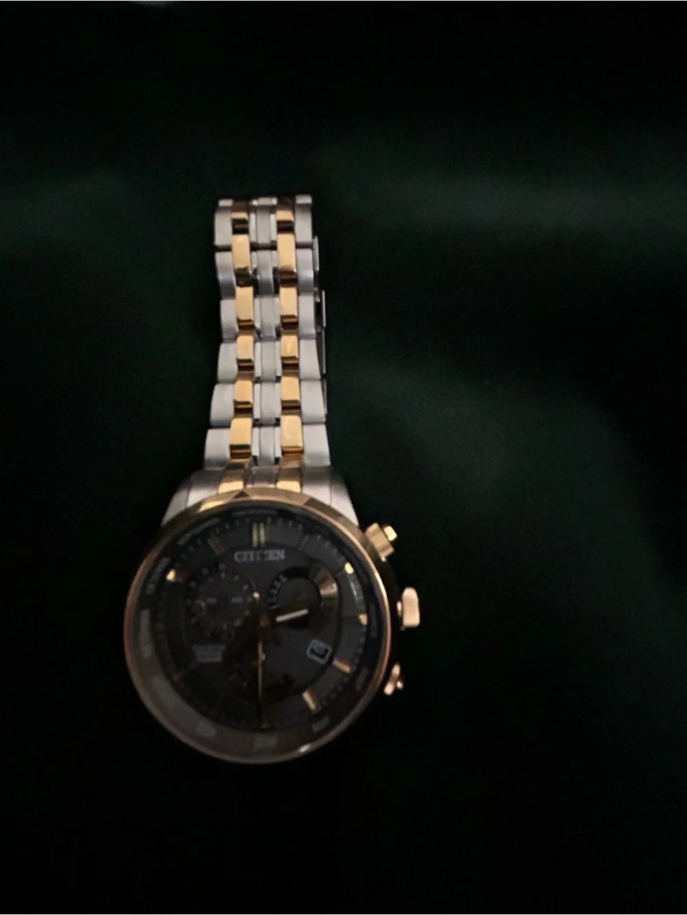 Citizen two tone