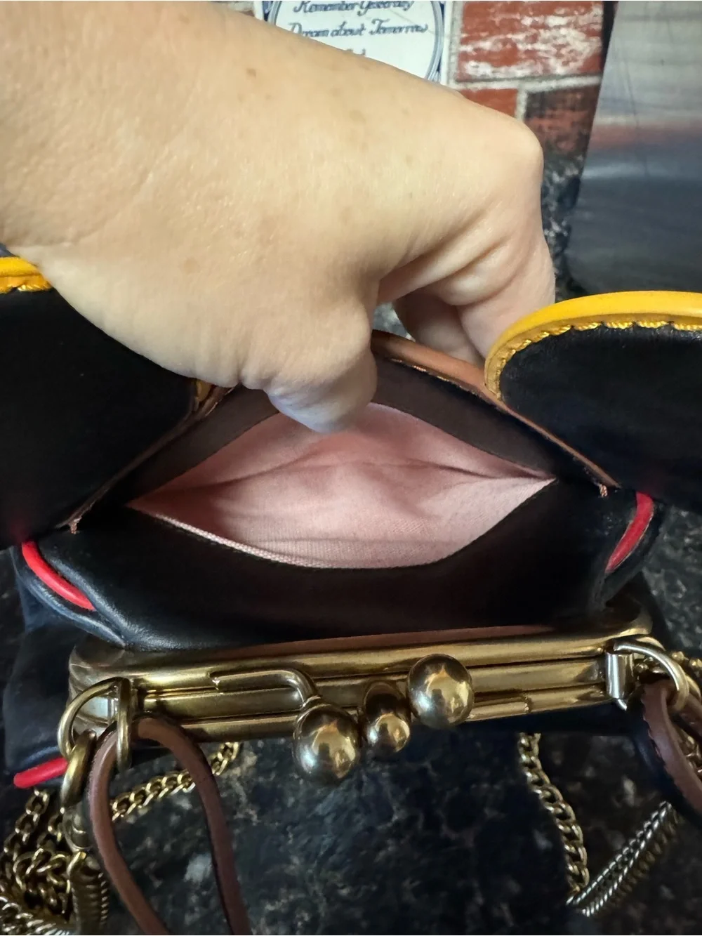 Coach playful mini