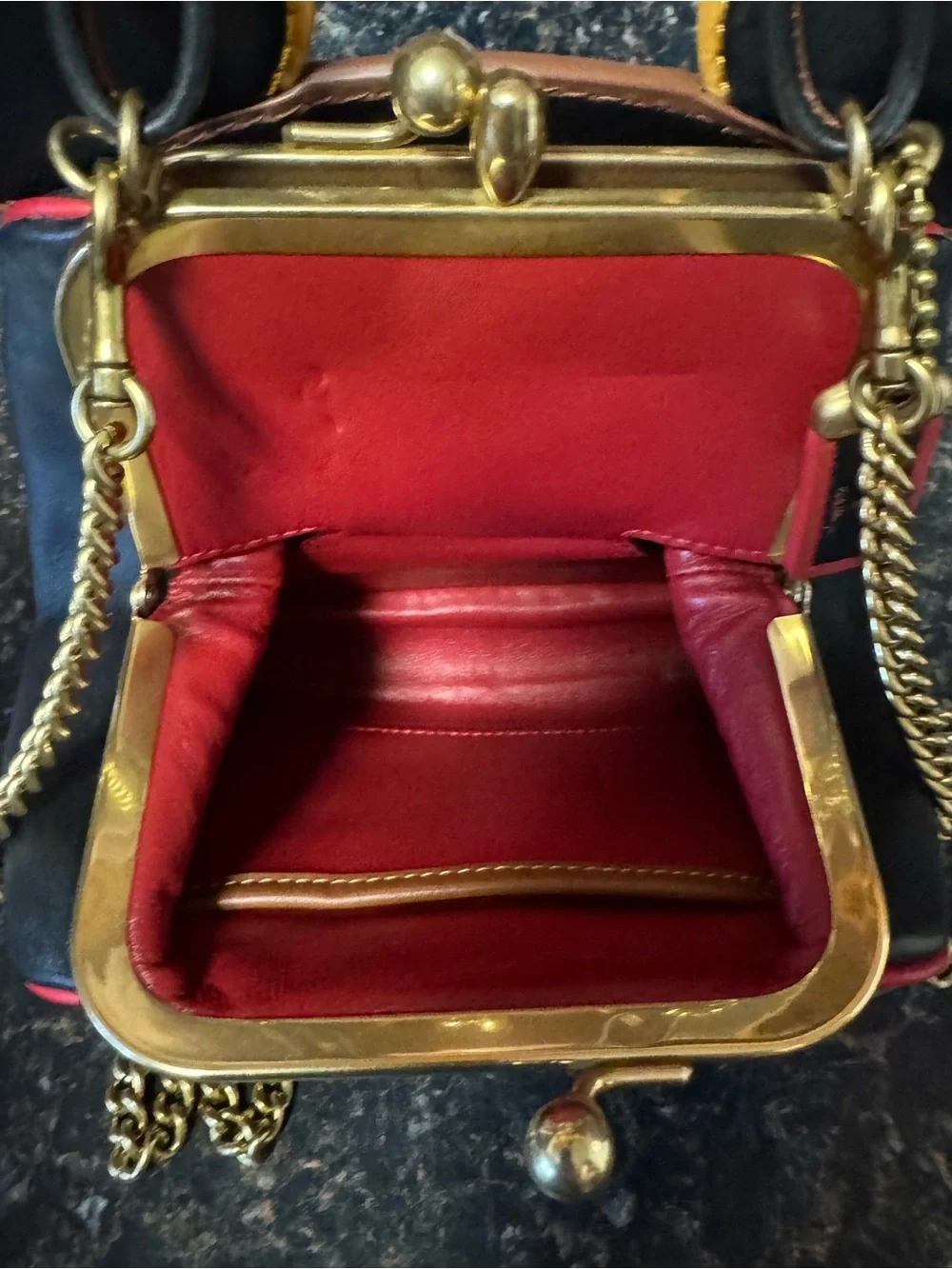 Coach playful mini