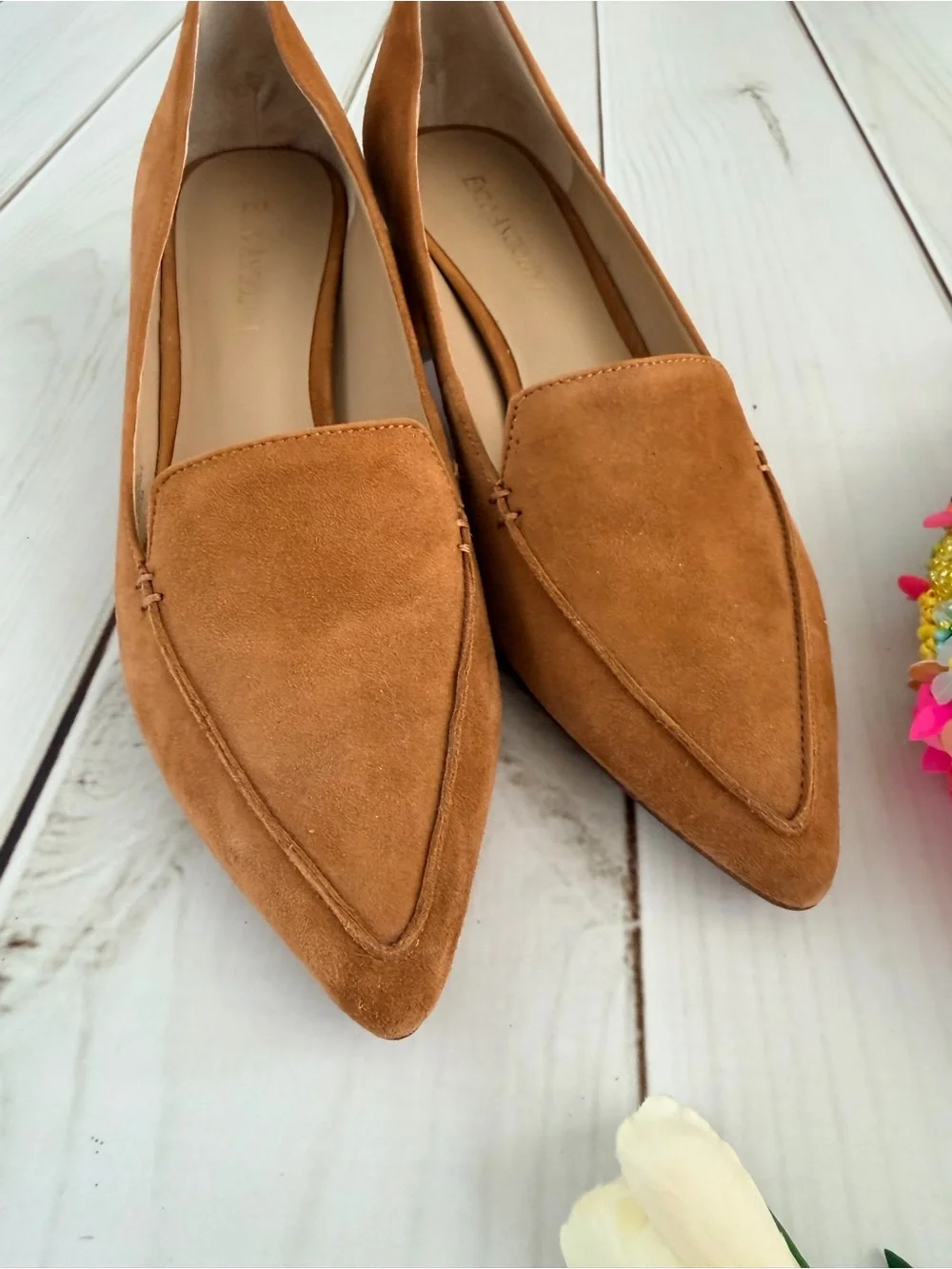 Enzo Angiolini enzo angiolini